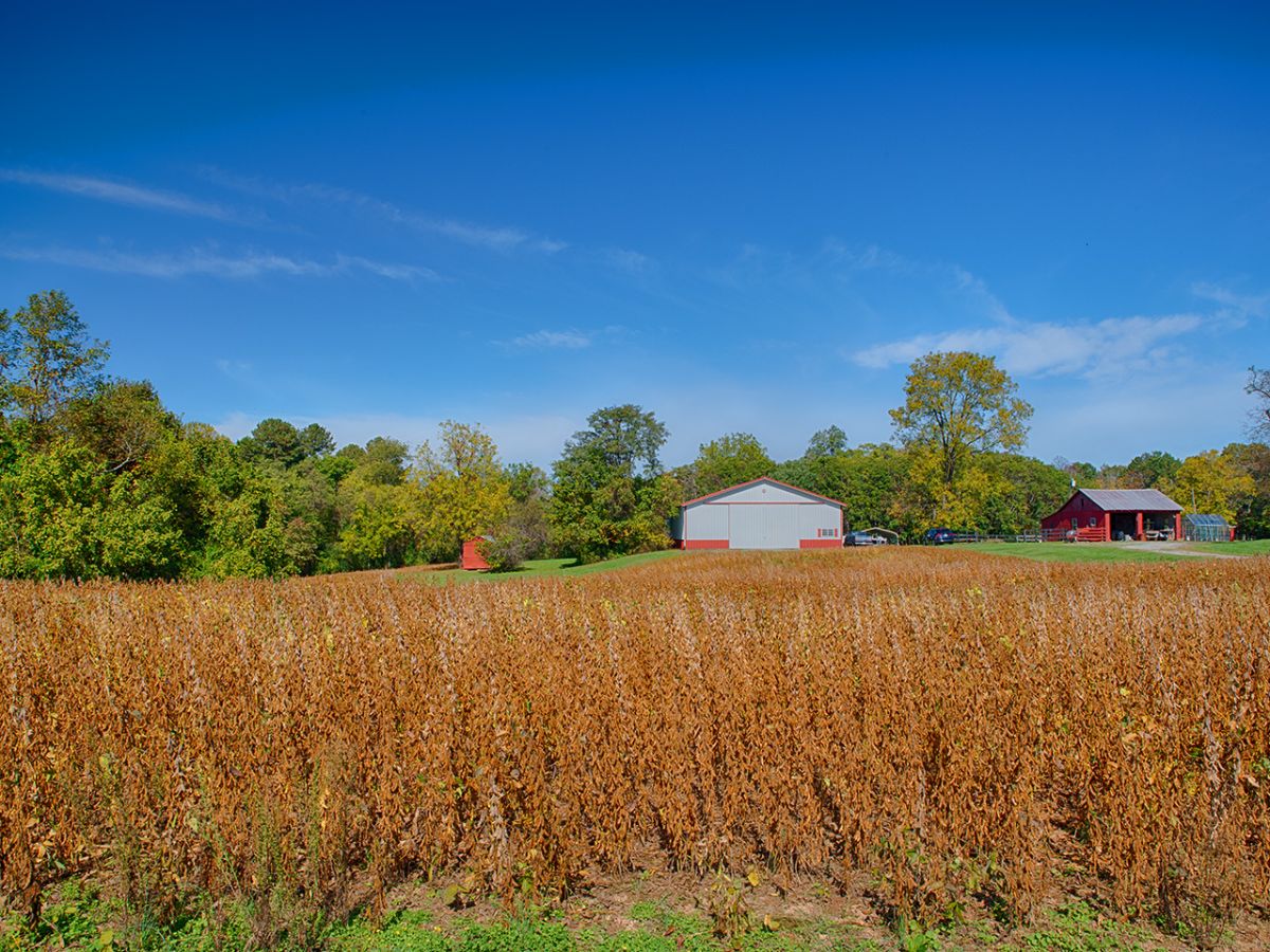 Unique Farm for Sale with 18+/- Acre Lake - mailchi.mp/gayleharveyrea…