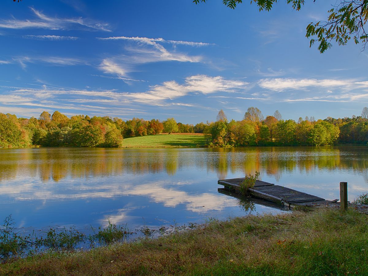 CentralVaFarms's tweet photo. Unique Farm for Sale with 18+/- Acre Lake - https://t.co/f4e91WrgXc https://t.co/7F43fsnghn