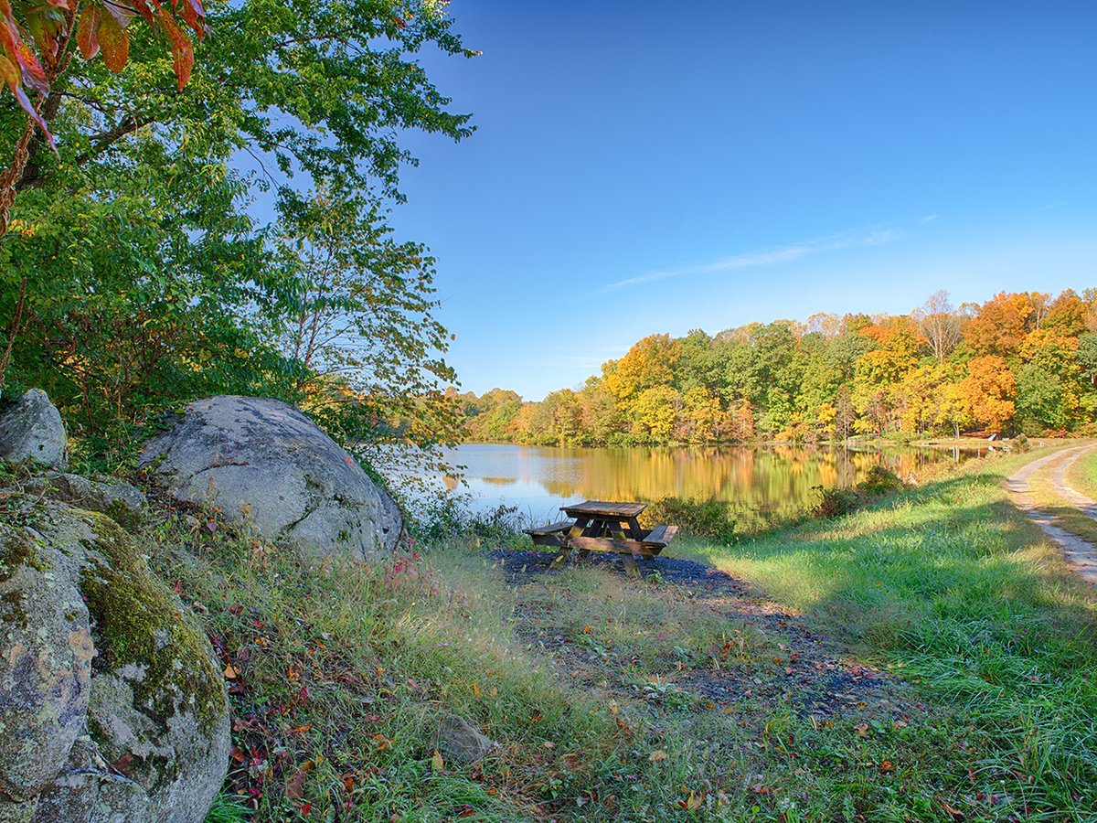 CentralVaFarms's tweet photo. Unique Farm for Sale with 18+/- Acre Lake - https://t.co/f4e91WrgXc https://t.co/7F43fsnghn