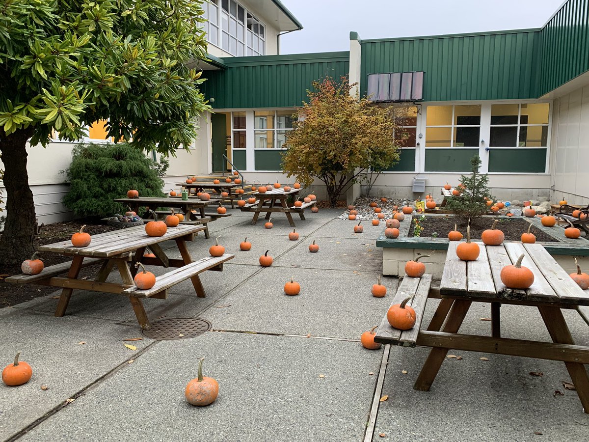 RM Grauer Elementary (@grauer_phoenix) on Twitter photo <a href="/Grauer_Phoenix/">RM Grauer Elementary</a> students exploring our very own Pumpkin Patch! This to our PAC group and G and J Farms! <a href="/RichmondSD38/">Richmond Schools</a> #SD38learn <a href="/Grauer_Phoenix/">RM Grauer Elementary</a> students exploring our very own Pumpkin Patch! This to our PAC group and G and J Farms! <a href="/RichmondSD38/">Richmond Schools</a> #SD38learn