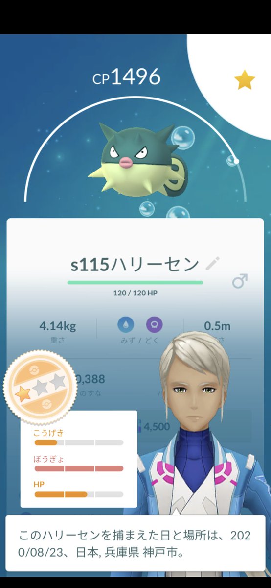 Gotoh ポケモンgo ハリーセン使用感 ドククラゲより耐久はかなり無いのでマリルリやプクリンを完封とはいかない でも攻撃高いのでヘドウェでほぼワンパン 水鉄砲がイワパレス アロガラをゴリゴリ削れる マリルリの泡とのダメレも押せる 環境に少なく技