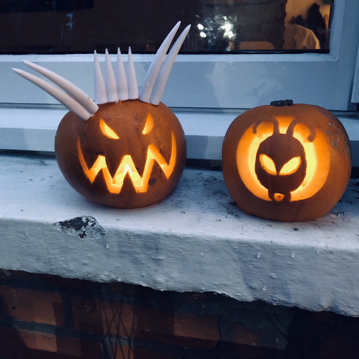 Spittingyarn's tweet photo. βItβs the most wonderful time of the year...β
#halloween #antboy https://t.co/TtzvfVQHRv