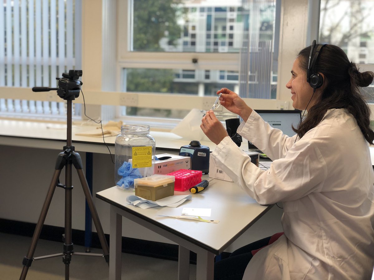 EBSOClab's tweet image. Today Judit, a @roslininstitute scientists, met with S2 &amp;amp; S3 @LasswadeScience pupils as part of the #MSFschools2020 programme! Live 📡 from @EBSOClab she talked about life in the lab, how she uses chromatography 🌈 and even did a demo!