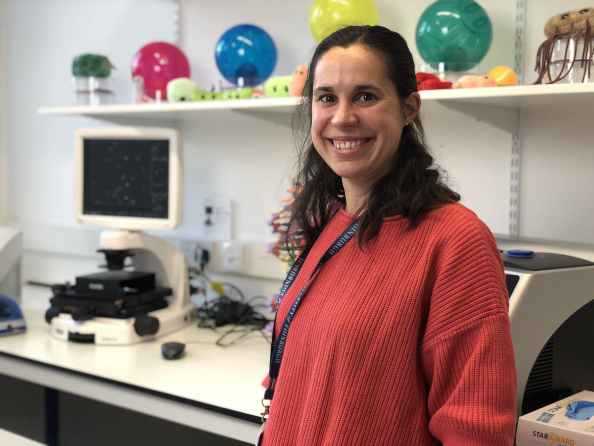 EBSOClab's tweet image. Today Judit, a @roslininstitute scientists, met with S2 &amp;amp; S3 @LasswadeScience pupils as part of the #MSFschools2020 programme! Live 📡 from @EBSOClab she talked about life in the lab, how she uses chromatography 🌈 and even did a demo!