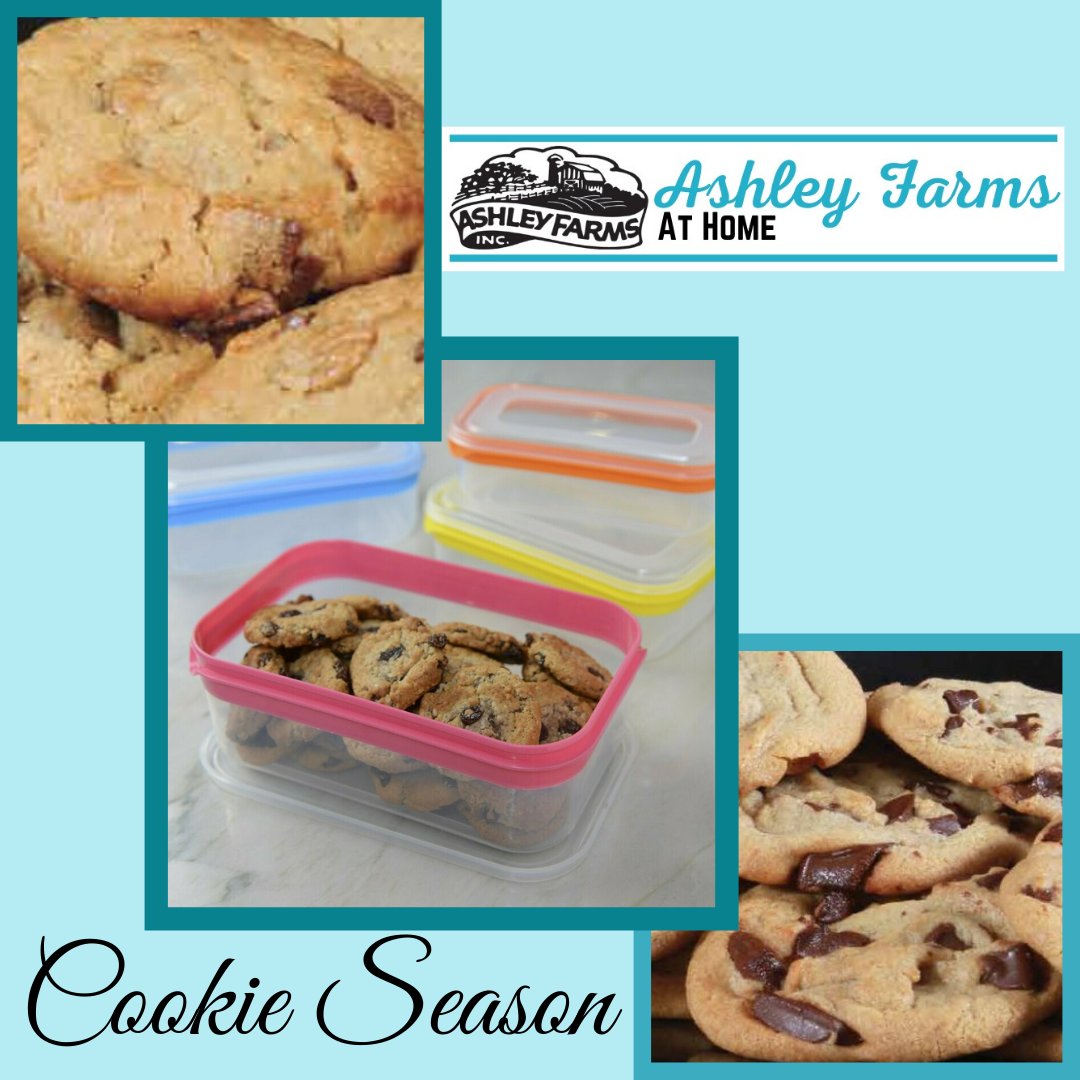 AshleyFarms's tweet photo. NOW is the time to stock up on your favorite Ashley Farms cookie dough &amp; storage containers for freshness in every bite!  https://t.co/dWccqxZZEB  #Fundraising #Fundraiser #HighSchool #MiddleSchool #NJSchools #Dessert #Cheesecake #Cookies #AshleyFarms https://t.co/CdVo8DaZ3m