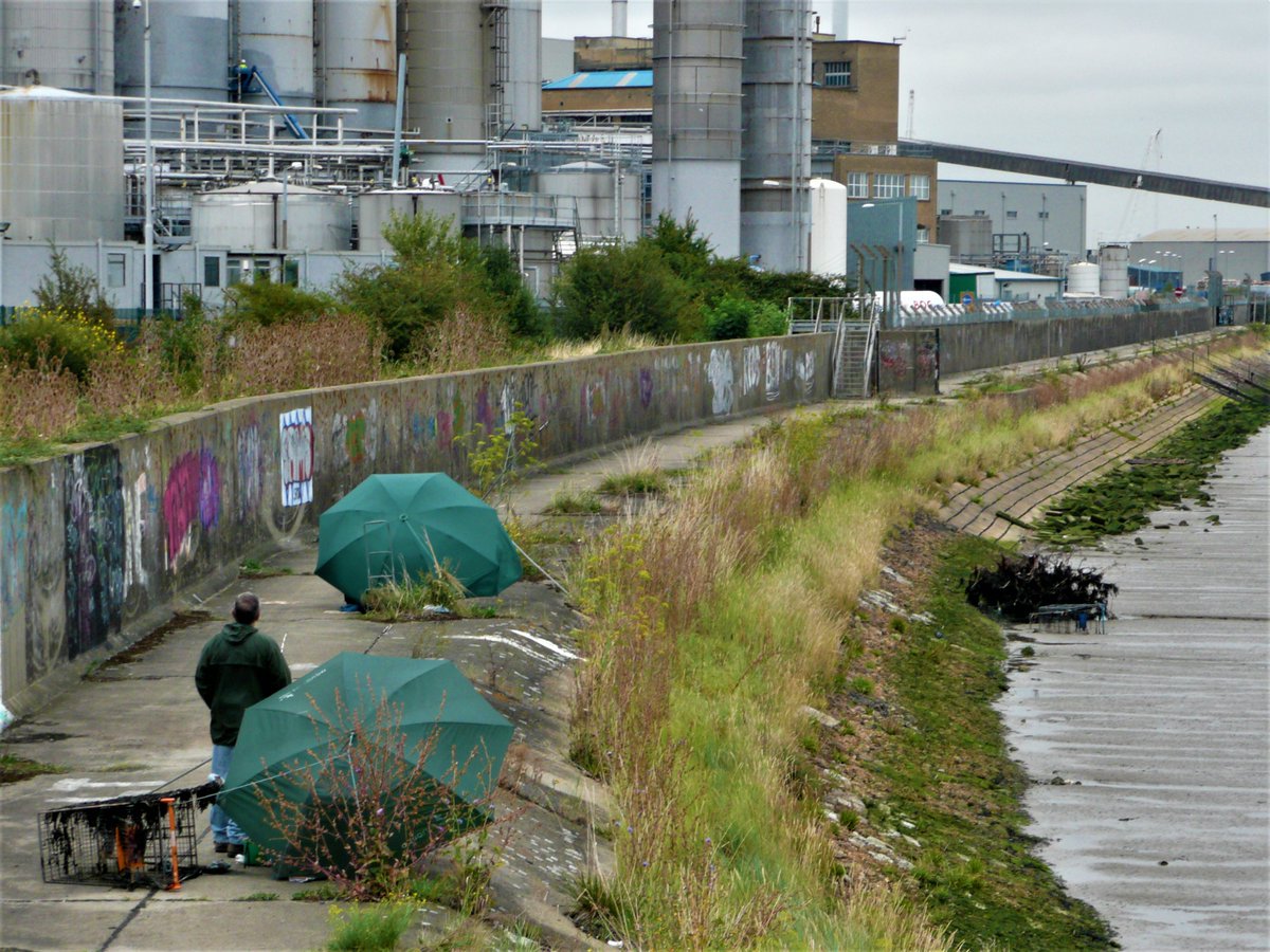 JulesPretty1's tweet photo. Well, we know now that being in nature is good for mental health
Even more important is the local & accessible
Here the London River, as it long was called, where the wild is by industrial
And fishers at the shore, a day spent emitting almost no carbon at all
#OneTonneOnly https://t.co/VaZACDr6vI