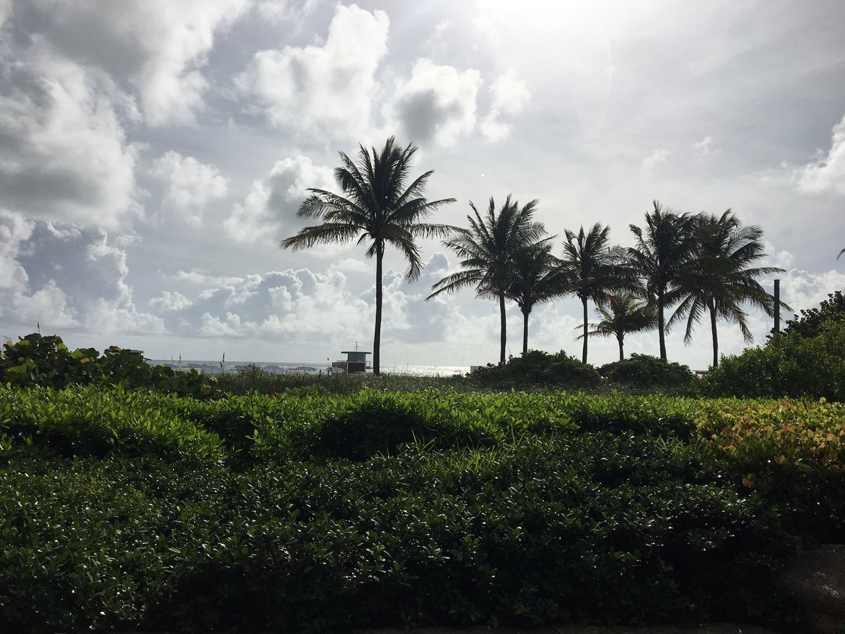 In honor of #astro2020, walked to Miami beach this morning. Agree with @BrandonMahal, can we get a do-over?! Would love to share this amazing city I currently call home with my colleagues! @SylvesterCancer @a_dalpra @ctakita1 @NiravVPatelMD @BenRichMD @drvanwyhe  @RubenCarmonaMD