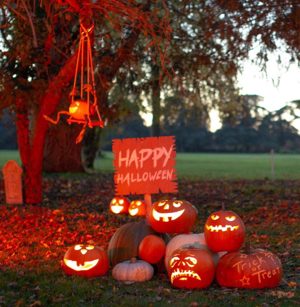 sandinyoureye's tweet photo. π π π A display we created on view at Blenheim Palace. It will be there all half term. #pumpkin #pumpkinseason #pumpkincarving #halfterm #halloween #pumpkincarver #pumpkindisplay #pumpkintrail https://t.co/rWwJXjV7pN