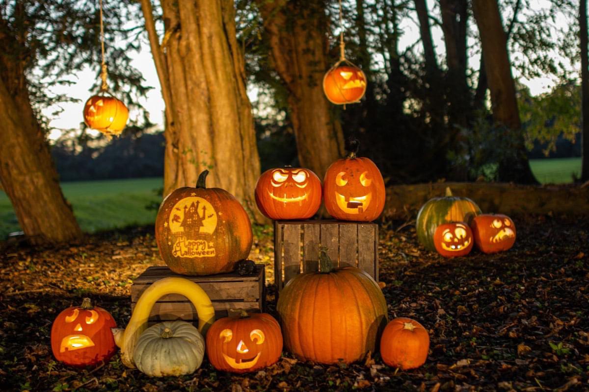sandinyoureye's tweet photo. π π π A display we created on view at Blenheim Palace. It will be there all half term. #pumpkin #pumpkinseason #pumpkincarving #halfterm #halloween #pumpkincarver #pumpkindisplay #pumpkintrail https://t.co/rWwJXjV7pN
