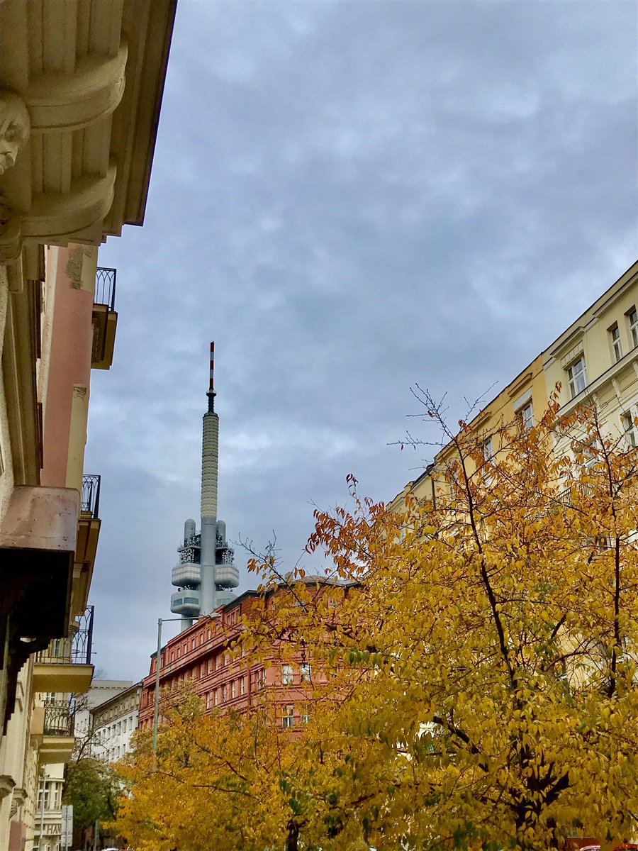 tycotyson's tweet image. 