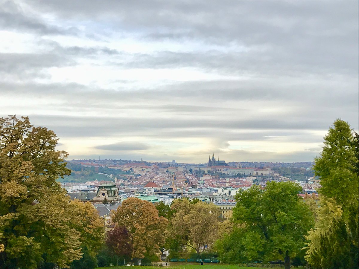 tycotyson's tweet image. 