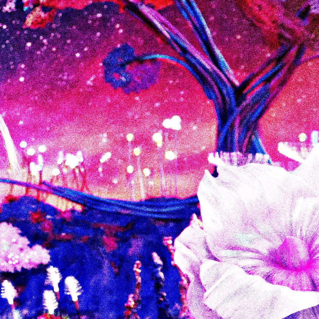 𓍲  𓇥 𓏰 𝓜 udlin ᛍ 宁宁 𓏰 ⁺ 𓆸 𓍲  ﾟ     .ﾟ𓍲 ยพท ลฟตท 𐬹