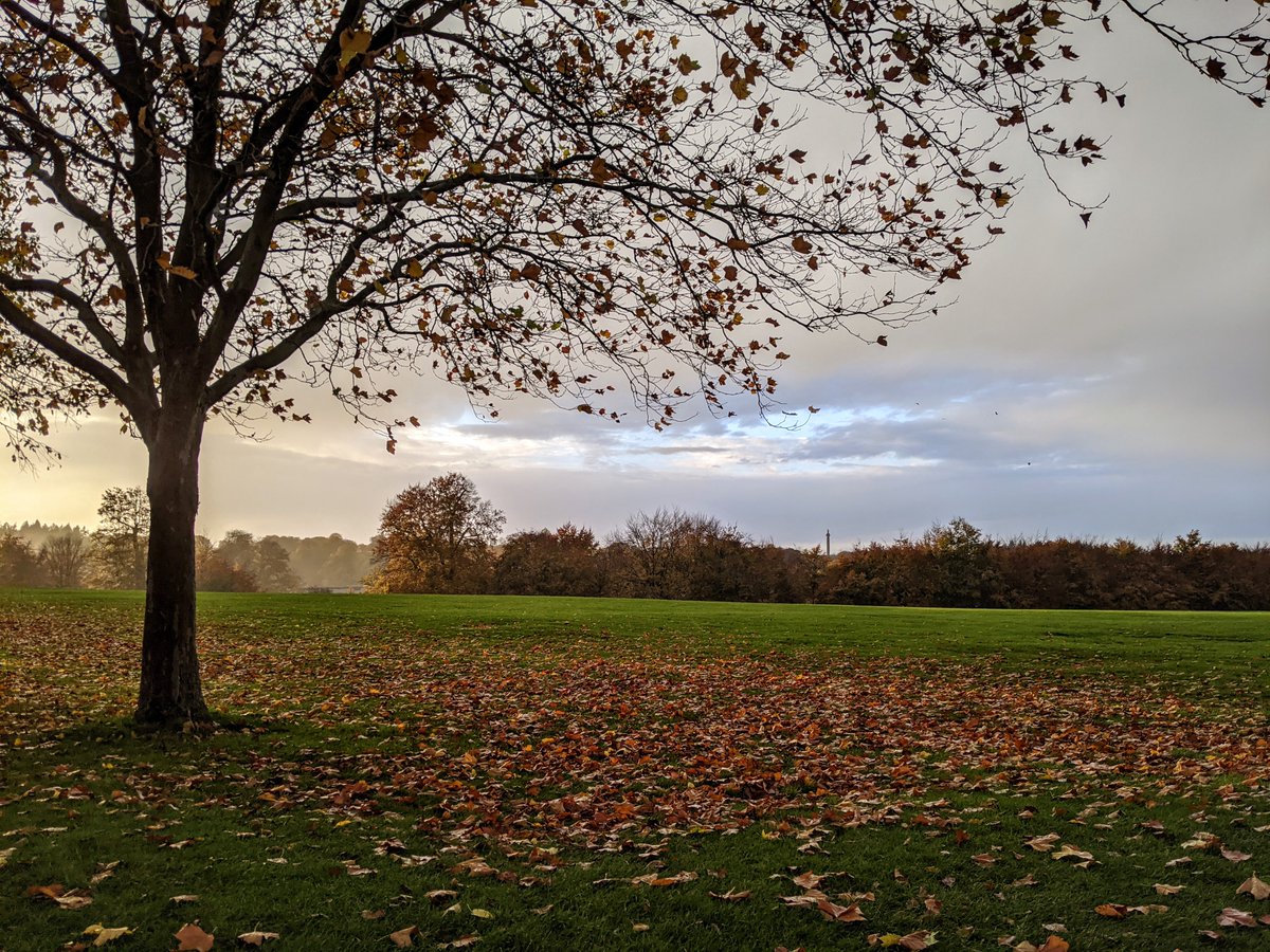 Dodging the showers and enjoying the amazing autumn display @BlenheimPalace.
#GetOutside https://t.co/33wI3rCXFp