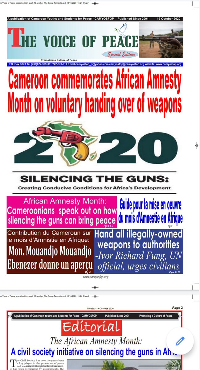 African Union-ECOSOCC Peace and Security Cluster tweet media