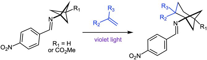 Check out our latest preprint leveraging the underutilized photochemistry of imines. Here we detail the upgrading of bicyclo[1.1.1]pentanes through ring expansion for the synthesis of unique [3.1.1] building blocks. doi.org/10.26434/chemr…