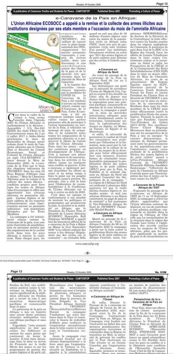 African Union-ECOSOCC Peace and Security Cluster tweet media