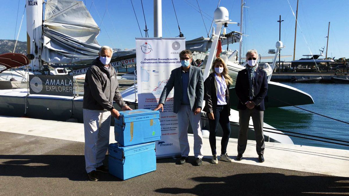 AMAALA | أمالا tweet media