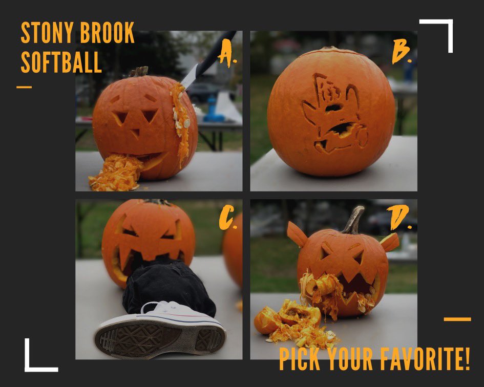 Stony Brook Softball tweet media