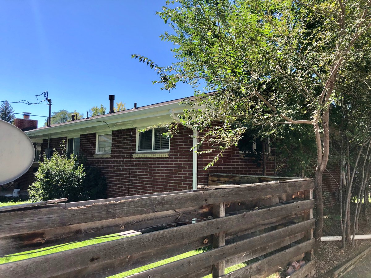 Kyle Paul (Kyle_Paul_) Twitter