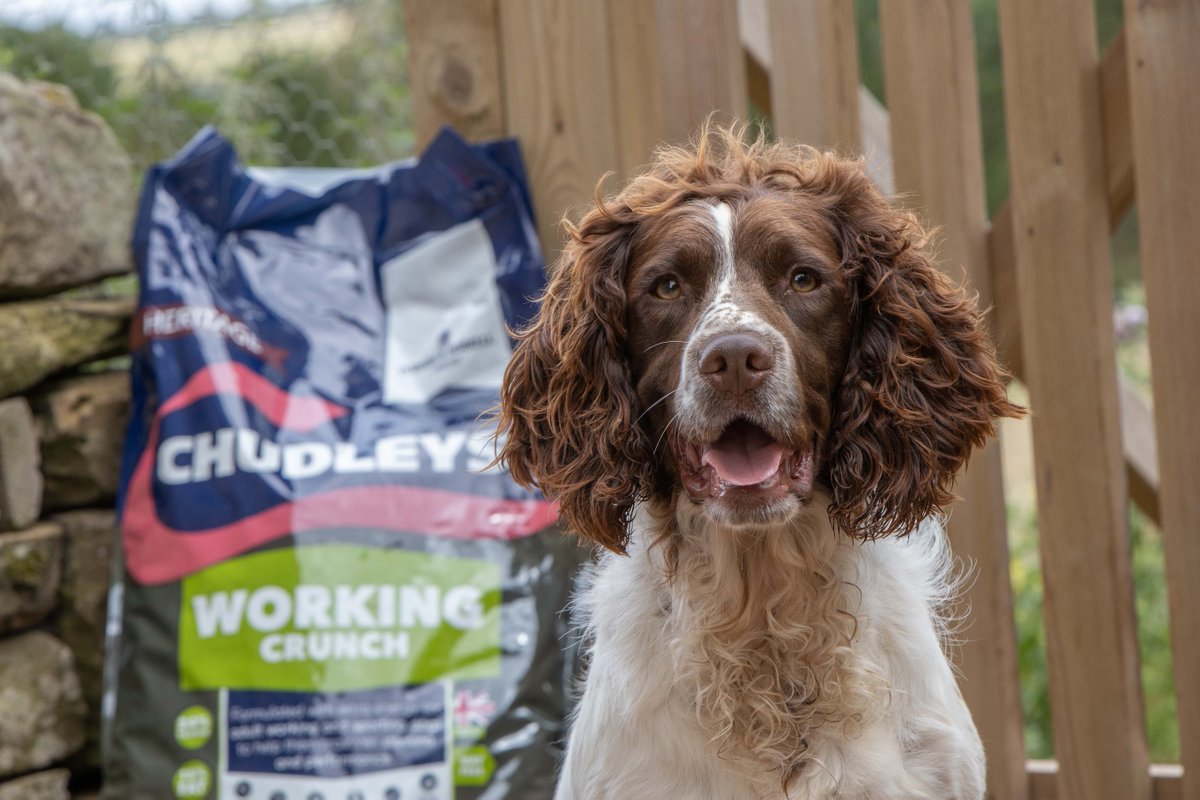 Chudleys tweet media