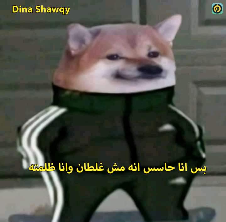 egymeme11's tweet photo. حد ظلمني وهان مشاعري وبعدت عنه 
me after 5 minutes: https://t.co/W6ZHVCDssy