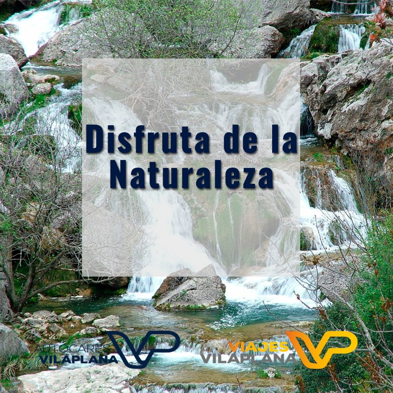 AutocaresVilaplana tweet media