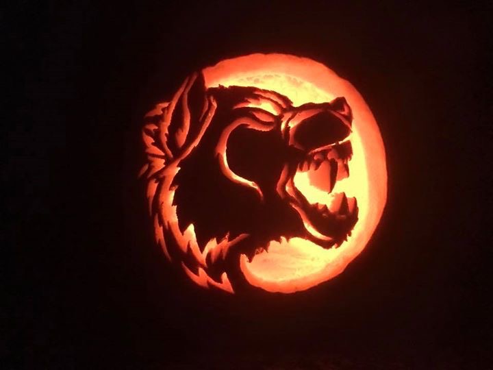 OliverSolberg01's tweet photo. Happy Halloween to my wolfpack! 🐺🎃
#WerewolfPack https://t.co/cNiL05e09T