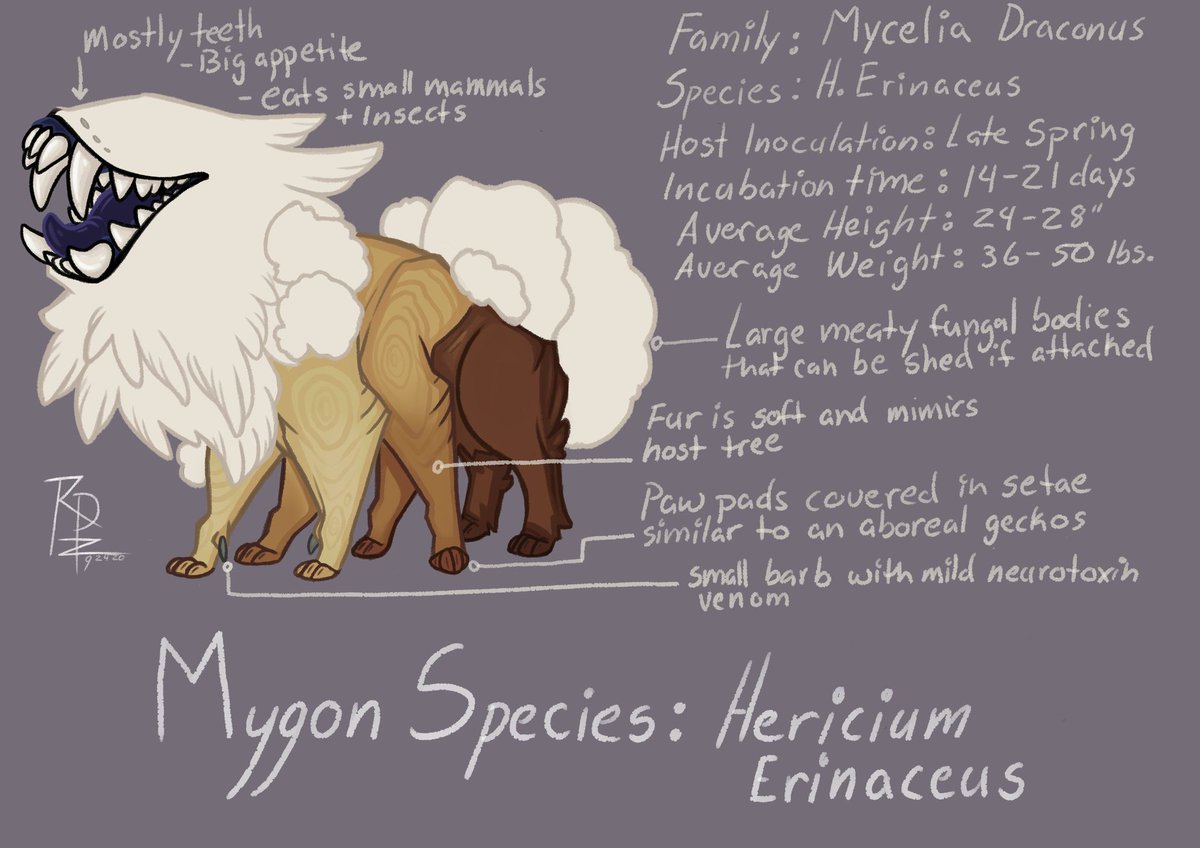 RainbowPawz's tweet photo. Some additional info on h. erinaceus. They are mostly a fluffy ball with teeth.
#creaturedesign #mygon #monster https://t.co/qXM1NWpEEc