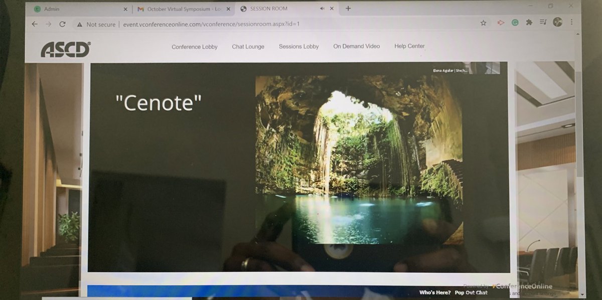 purposepushers's tweet photo. Thank you @brightmorningtm and @ASCDconf for reminding us to cultivate our resilience! Thank you for virtually taking me back to my trip to Mexico where I jumped into a Cenote! 💦 #Refreshing 🙌🏿 I need that experience right now! 🤣#ASCDVirtual https://t.co/515UJ7Ywa7