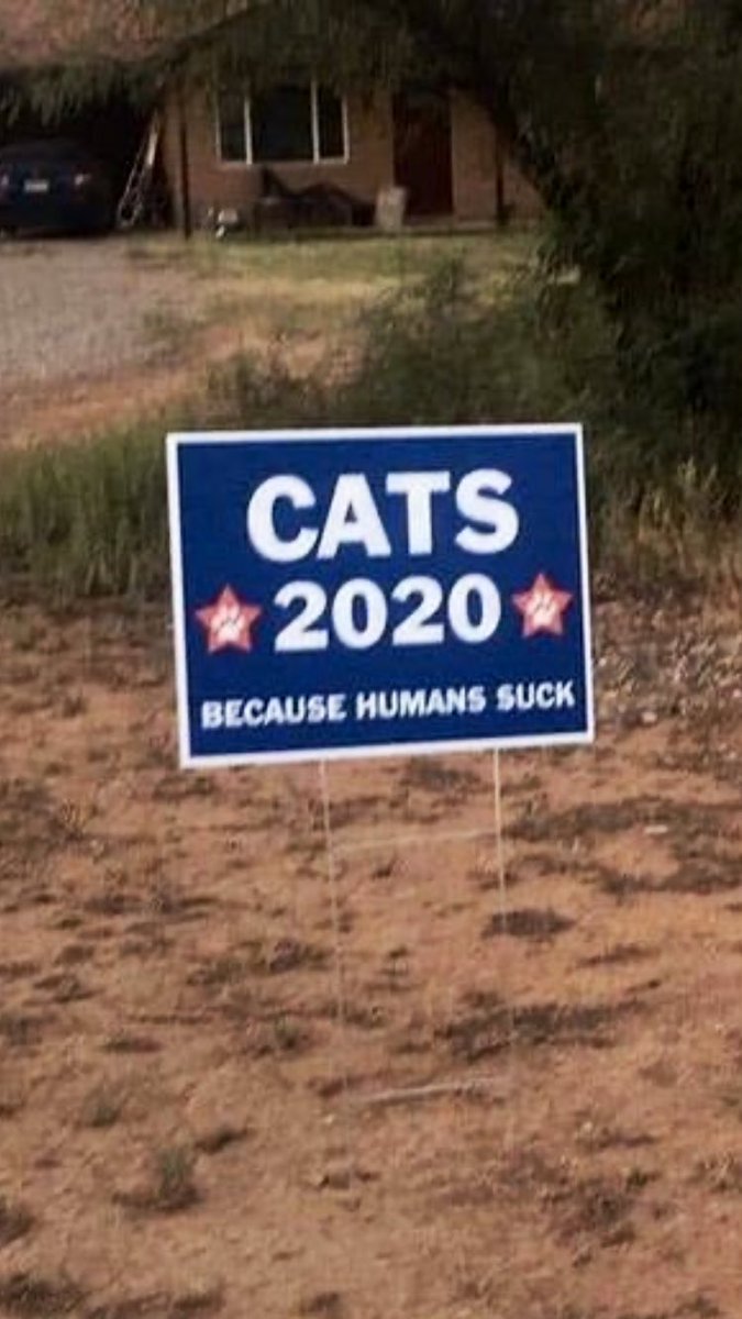 SophieMolly20's tweet photo. My ballot is missing my vote!
Cats2020~Because humans suck!
#Cats2020 #CatsOfTwitter https://t.co/EjgwuILkN9