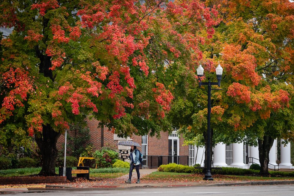 tennesseetech's tweet photo. ☔️🍂 https://t.co/AgJ33xJ7vS
