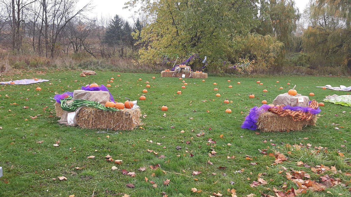 Kinder Room 208 tweet media