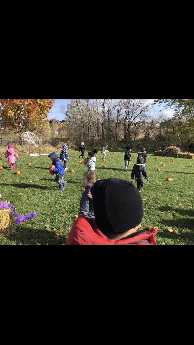 Kinder Room 208 tweet media