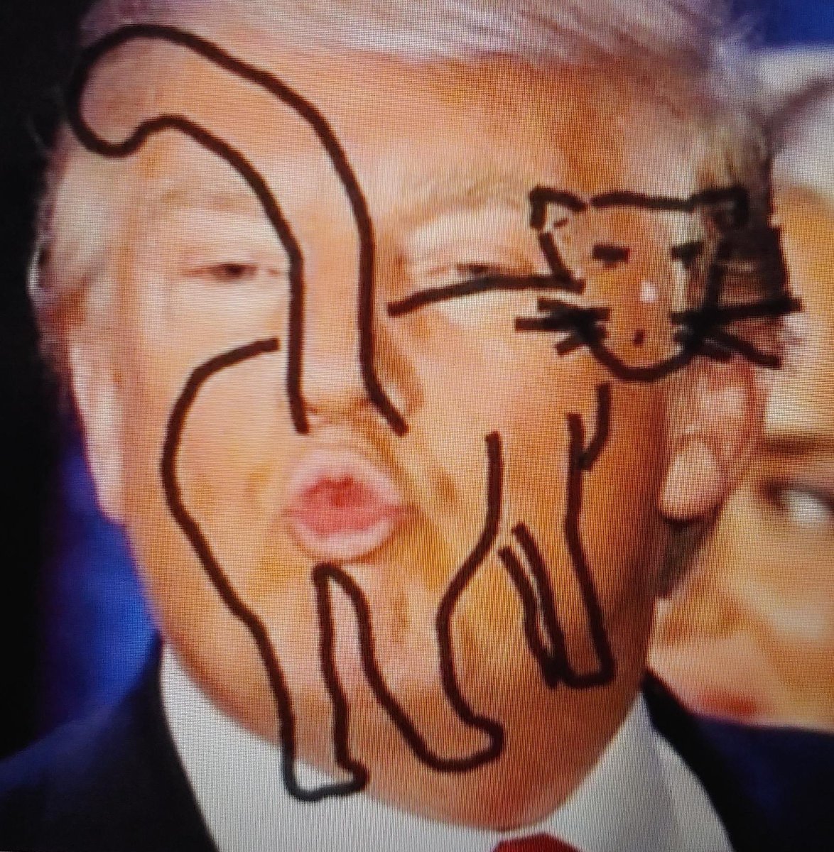 I don't think this is nice to #cats
#democats #Democrats gotta fight this #TrumpTheSnake https://t.co/NlpakHAUop