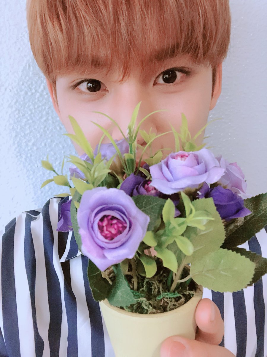 7TEENSN's tweet photo. ❐ • 𝗦𝗮𝘆 𝘁𝗵𝗲 𝗻𝗮𝗺𝗲 𝟟𝕋𝔼𝔼ℕ . . . › 𝘀𝗵𝗶𝗻𝗶𝗻𝗴 𝗱𝗶𝗮_恐惧𝗺𝗼𝗻𝗱𝘀 (💎)⤻ #WJSNLS
#NATHAN: Vengo a mostrarles está preciosidad de lightstick, estoy hablando del UZZU BONG, está simplemente hermoso, lo estaré guardando para apoyarlas en su próximo evento! https://t.co/5ySvt2DHTt