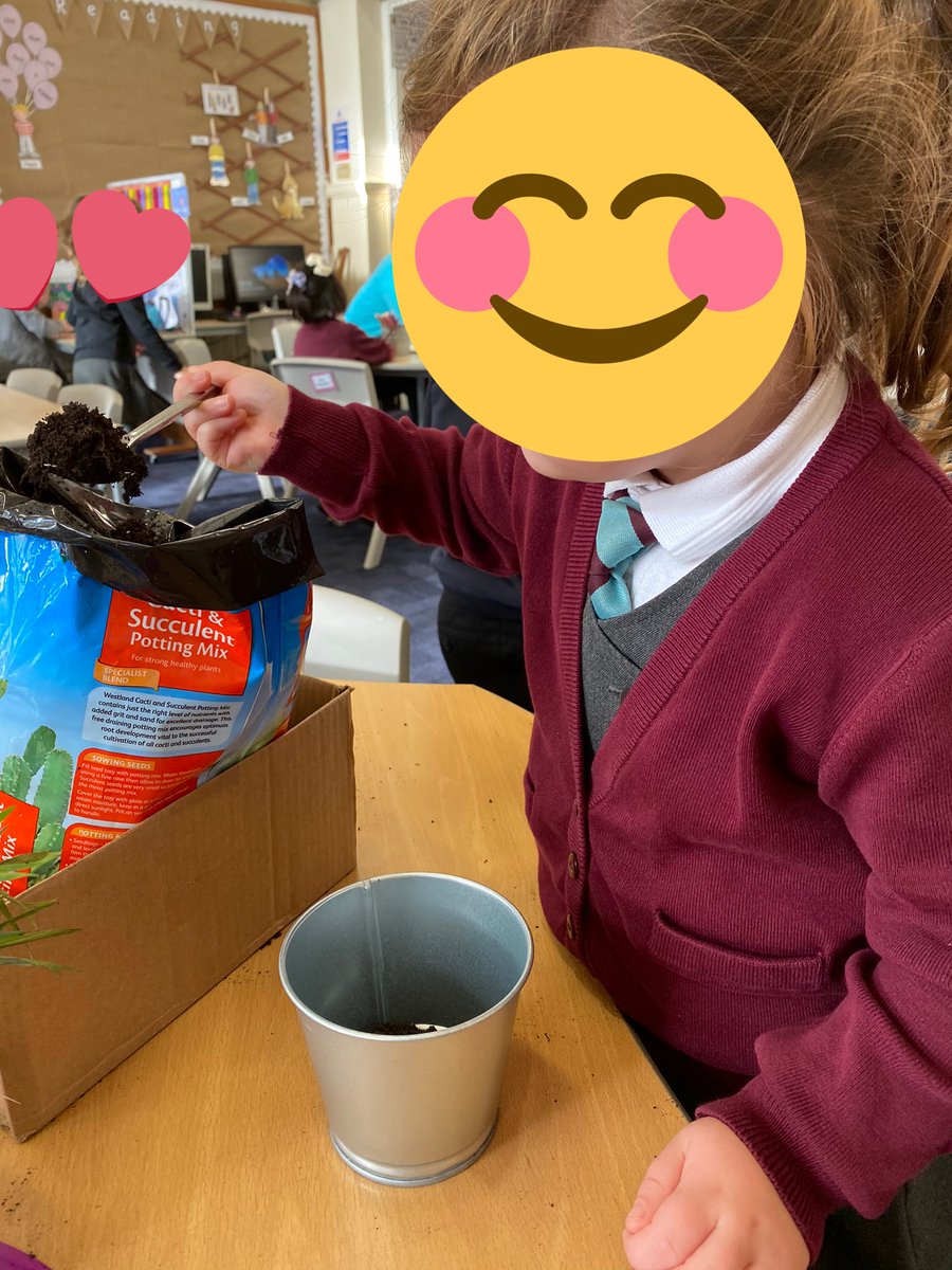 mrstmatheson's tweet photo. Lots of help today with re-potting our classroom plants. The helpers did a very good job, our plants look great. 🌵🌱💧@Kirkcaldywestps https://t.co/1oe62klOw8