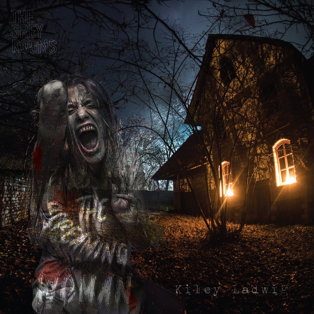 Art reveal for pre-season episode 2, “The Screaming Woman”, by author @KileyBird.

This haunting majesty created by lead artist <a href="/CPertiet/">Cassie Pertiet</a>. 

Fun fact: For motivation, Cassie had the model listen to the episode.
🎧🖤
#season3 #thegreyrooms #horror #podcast #audiodrama