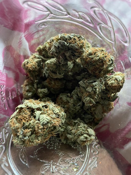 I just wanna eat it https://t.co/hkwiKPVBdQ<a href="/tag/kingtopgrinders"class="tags"><span>#kingtopgrinders</span></a><a href="/tag/freakystoner"class="tags"><span>#freakystoner</span></a>