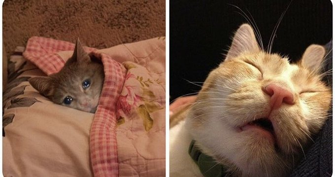 RealistaSafado's tweet photo. Quando eu e minha namorada vamos dormir brigados

Eu // minha namorada https://t.co/0XoskFPFDJ