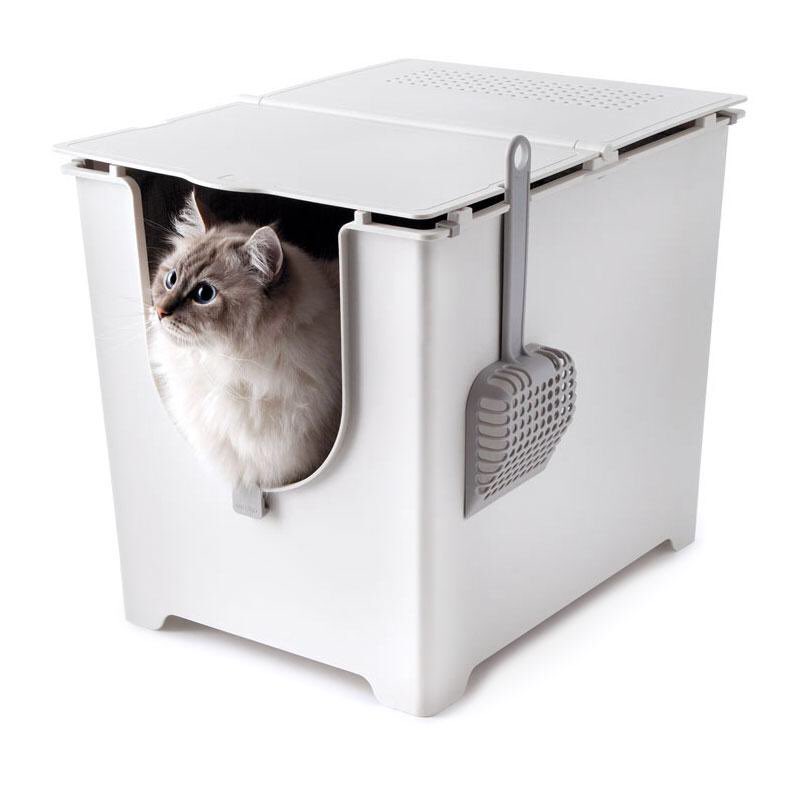 This cat can literally see forever.