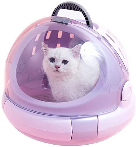 This cat is absolutely heart breaking. Just truly given up. Knows that breathing is absolutely out of the question.