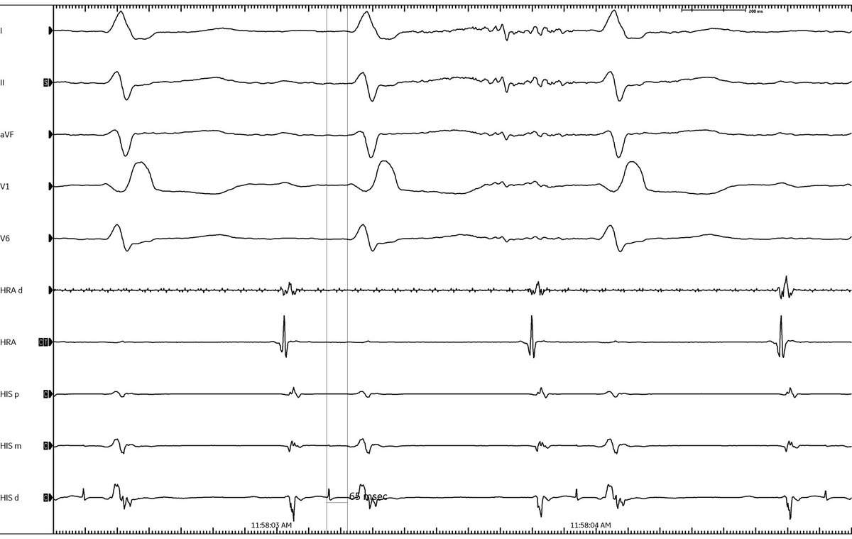 Daniel Nguyen tweet media