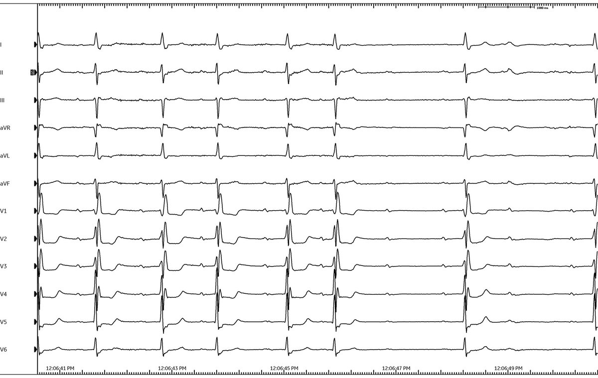 Daniel Nguyen tweet media
