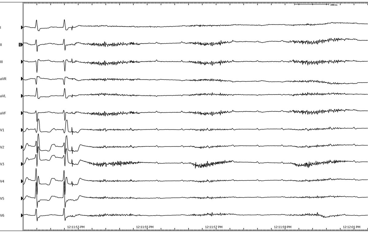 Daniel Nguyen tweet media