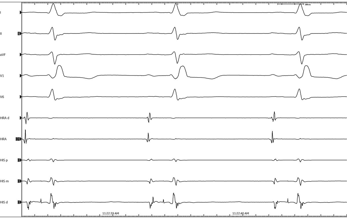 Daniel Nguyen tweet media