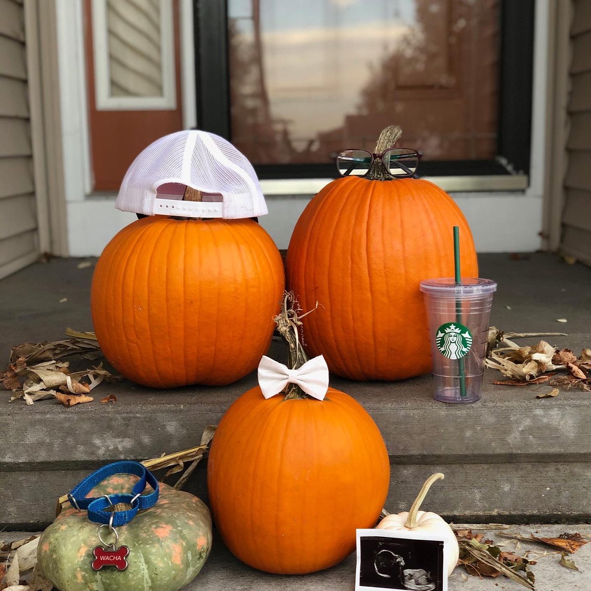 CoachDavidson5's tweet image. Lorelai will be rocking the neon orange one day but we’re adding some checkers to the mix as well!! 
Baby BOY rolling in March 2021! 💙💙 #futurePHawk
