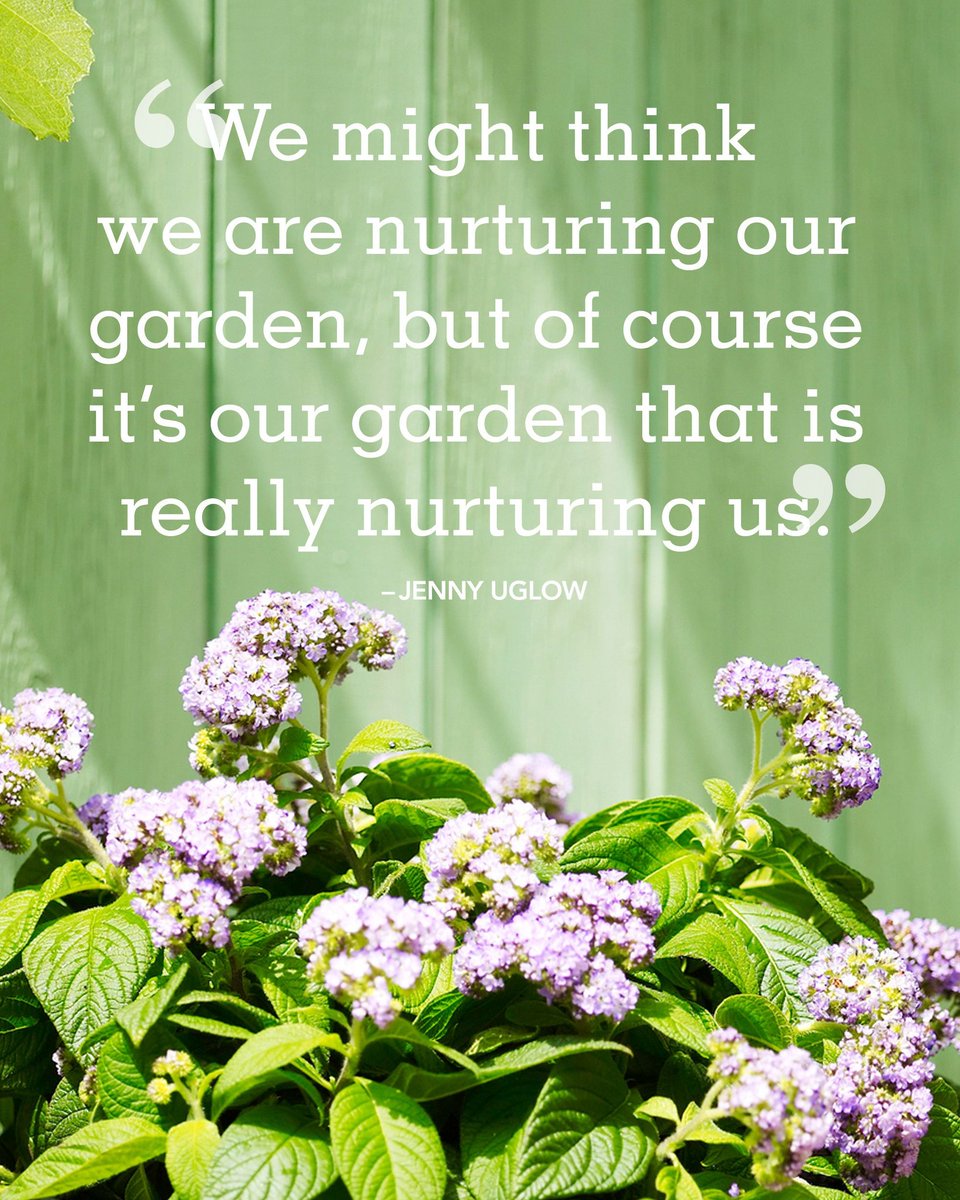 AuntyLou333's tweet photo. I Love My Garden!💕
#JoyTrain
#ItsSoTrue
#SuccessTrain
#GivingToNature
#NaturesBlessings
#GardensNourture
#NatureGivingBack
#WithAppreciation https://t.co/LdTPCCIq2c