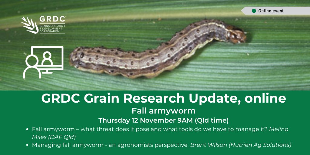 On in two weeks! Thursday 12 Nov, 9am (Qld time) for the GRDC Grains Research Update, online - fall armyworm with Melina Miles <a href="/beatsheetblog/">The Beatsheet Blog</a> and Brent Wilson from Nutrien Ag Solutions #GRDCUpdates #Fallarmyworm Registration: bit.ly/2FKlz6R