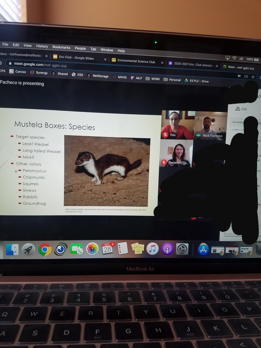 MrsOceanView's tweet photo. Awesome presentation by my brother, Nick Pacheco!! As a senior majoring in biology and wildlife conservation at VT, he shared some of his research and experiences with our environmental science club today!! @whapavt #viewpride https://t.co/XueyVZTMx1