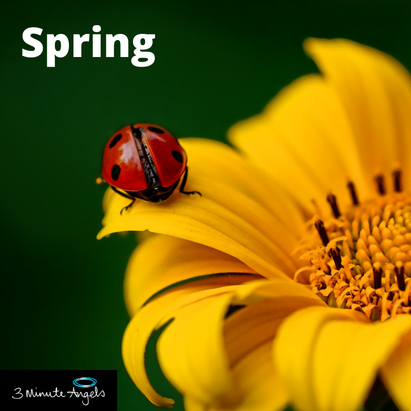 3MinuteAngels's tweet photo. How is your Spring going? We are excited about the restrictions lifting 😇 Our Angels are here to help lift your spirits too: https://t.co/E5po6VWyyQ or call 1300 662 022 #3MinuteAngels #Spring #YourSpring #GettingBetter #SpringHasSprung #AngelEvents #Halloween https://t.co/pqF4bGJZc0